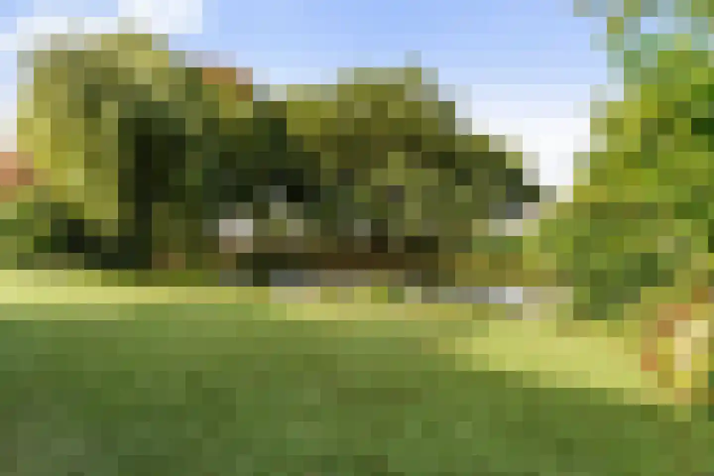 Swalm 12 Tilburg thumbnail 65