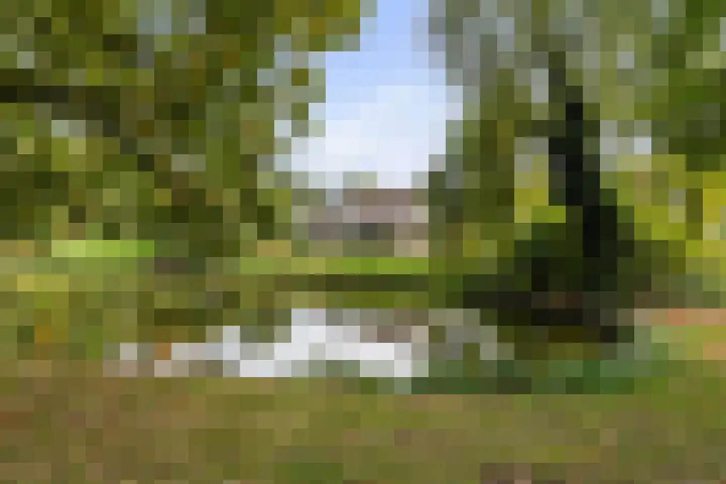 Swalm 12 Tilburg thumbnail 66