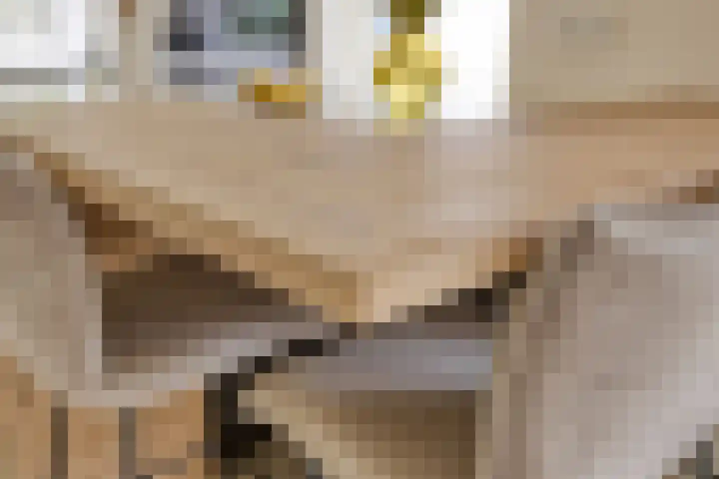 Swalm 28 Tilburg thumbnail 30