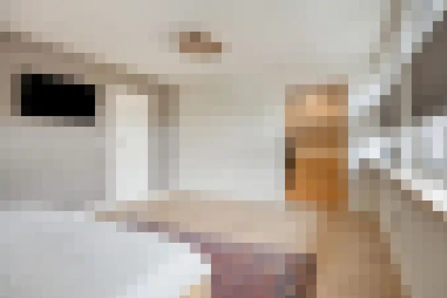Swalm 28 Tilburg thumbnail 38