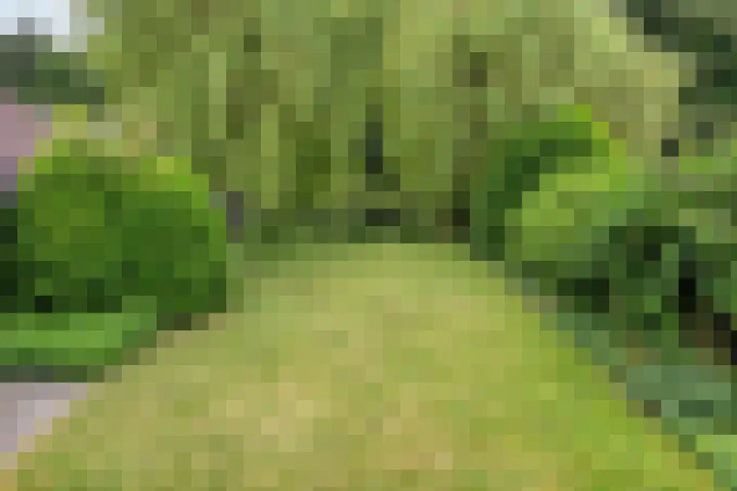 Swalm 28 Tilburg thumbnail 5