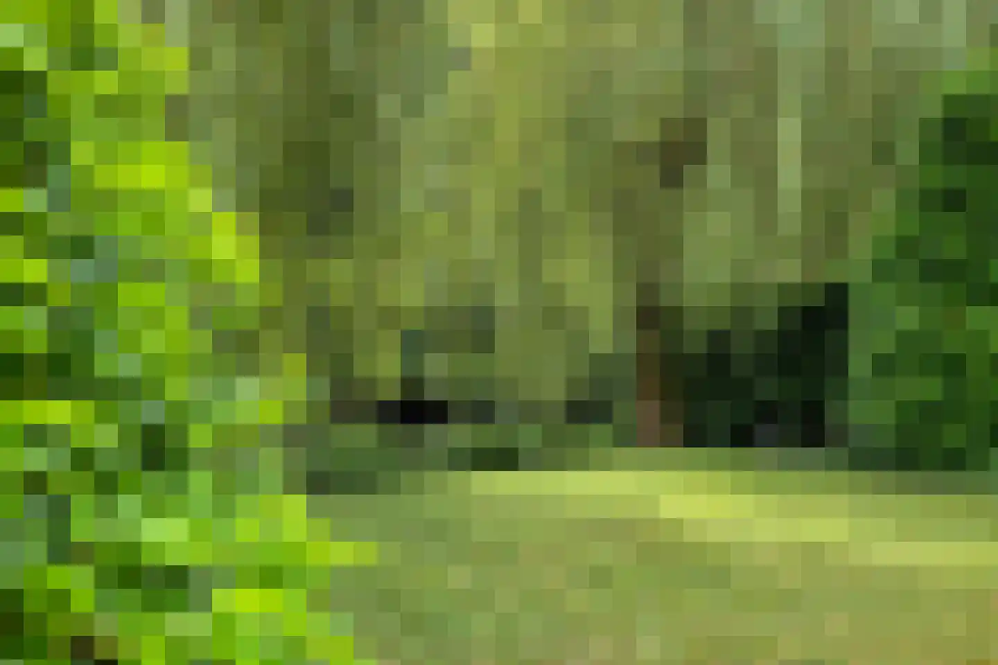 Swalm 28 Tilburg thumbnail 50