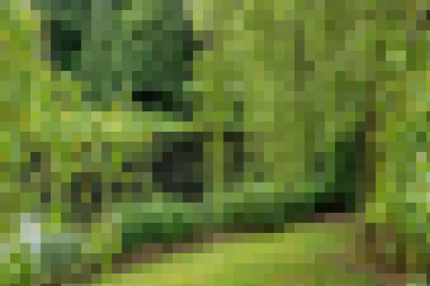 Swalm 28 Tilburg thumbnail 51