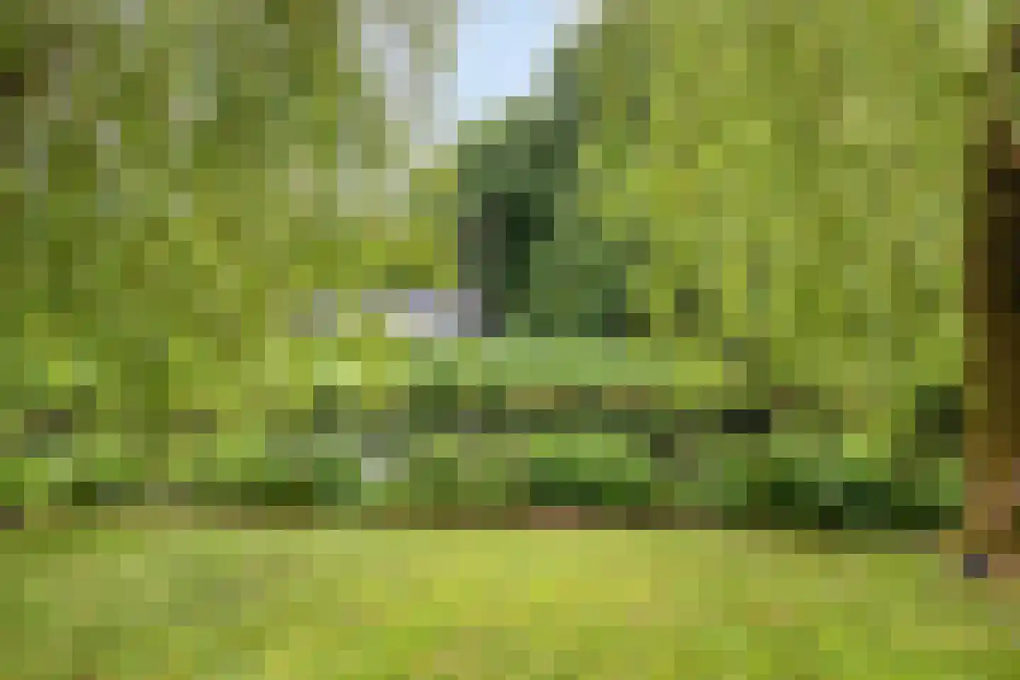 Swalm 28 Tilburg thumbnail 52