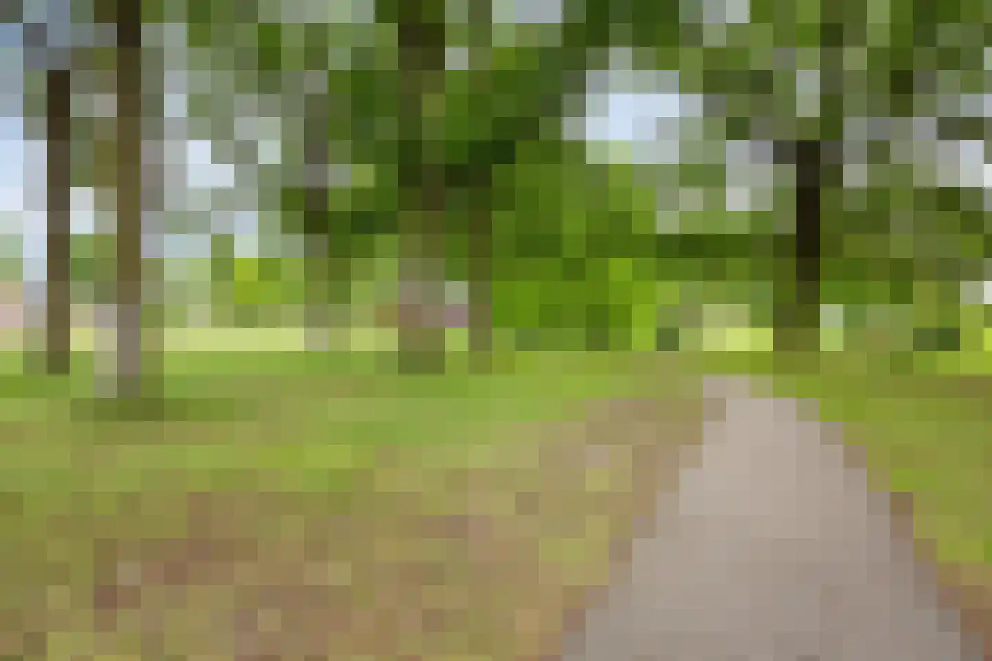 Swalm 28 Tilburg thumbnail 54