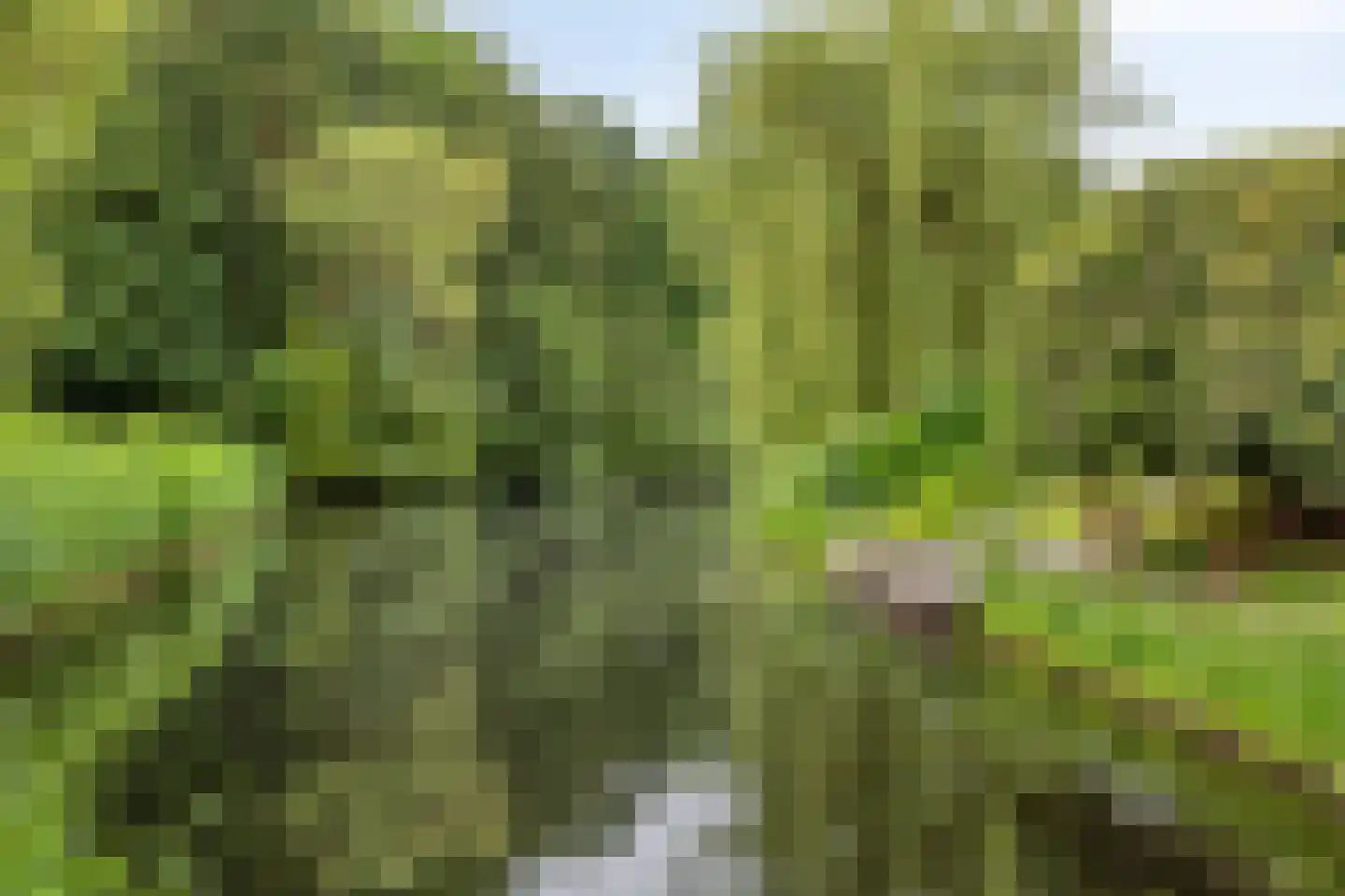 Swalm 28 Tilburg thumbnail 57