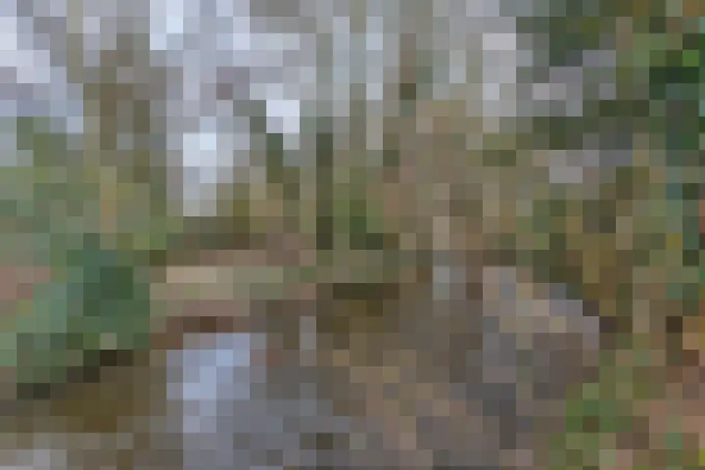 Swalmdal 22 Swalmen thumbnail 60