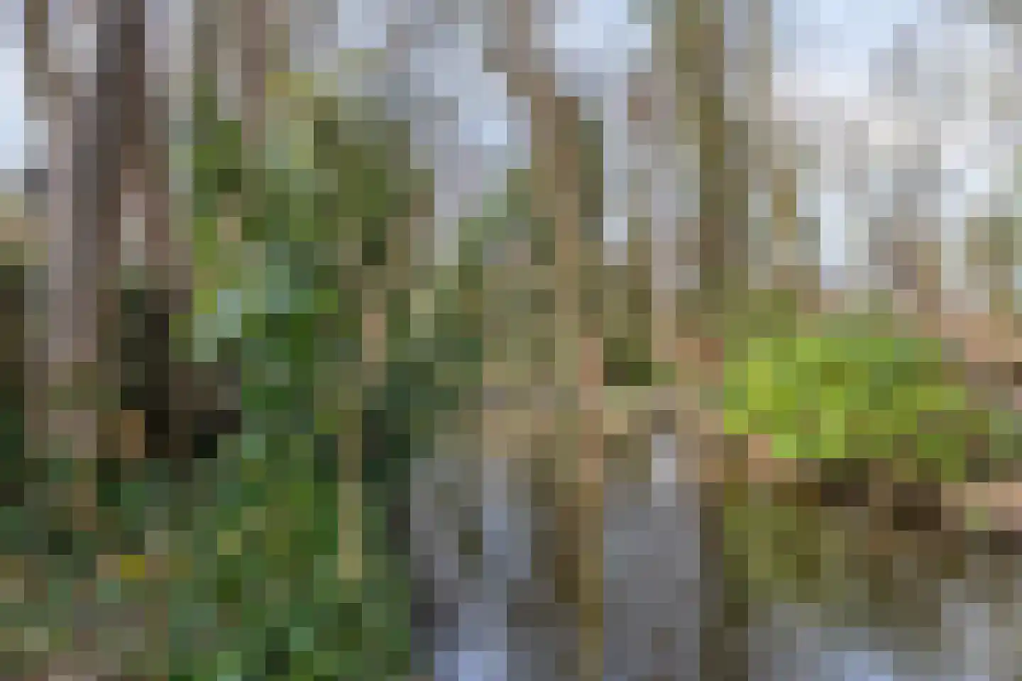 Swalmdal 22 Swalmen thumbnail 63