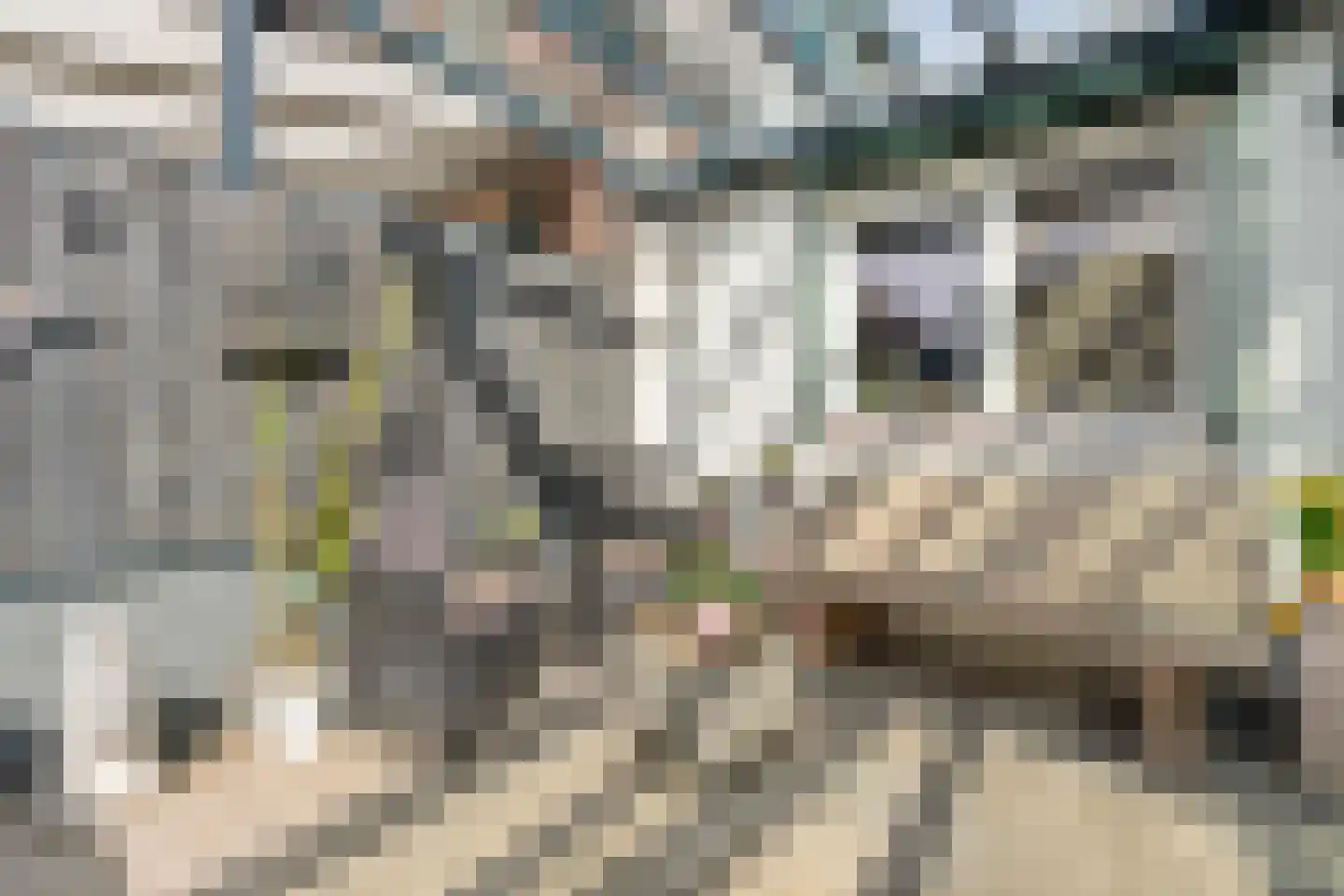 Swalmdal 4 Swalmen thumbnail 18