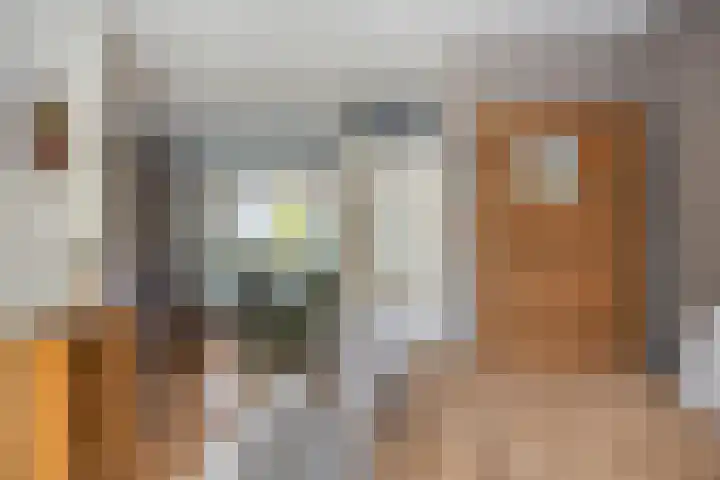 Swalmenhof 9 Arnhem thumbnail 15