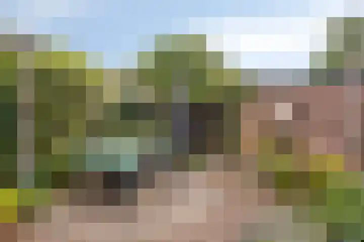 Swalmenhof 9 Arnhem thumbnail 32