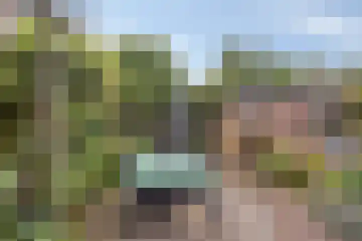 Swalmenhof 9 Arnhem thumbnail 33