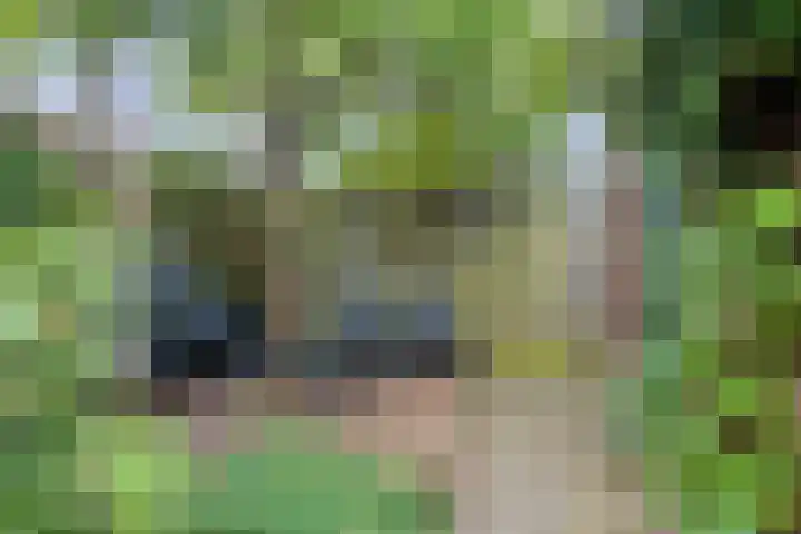 Swalmenhof 9 Arnhem thumbnail 35