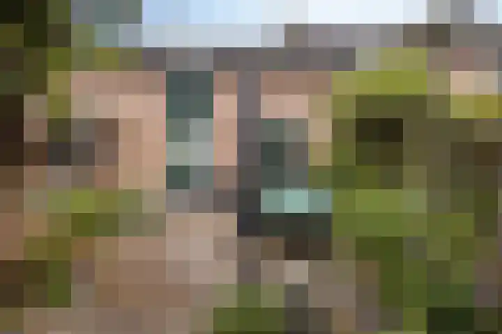 Swalmenhof 9 Arnhem thumbnail 37