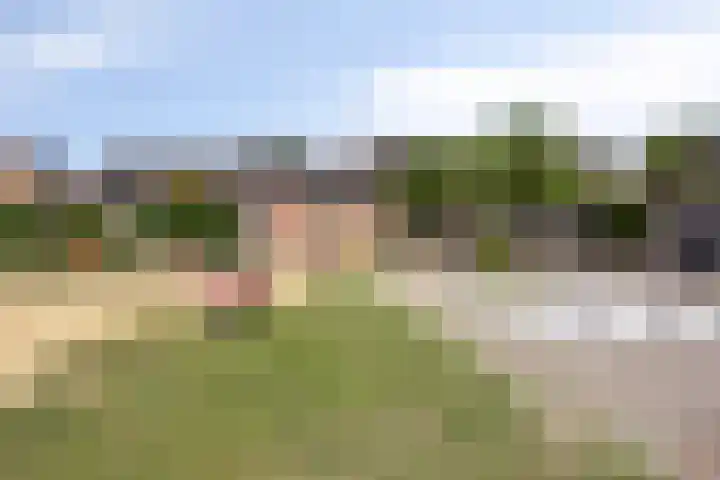 Swalmenhof 9 Arnhem thumbnail 39
