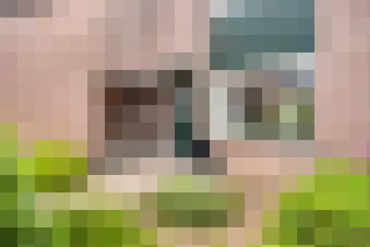 Swalmenhof 9 Arnhem thumbnail 4