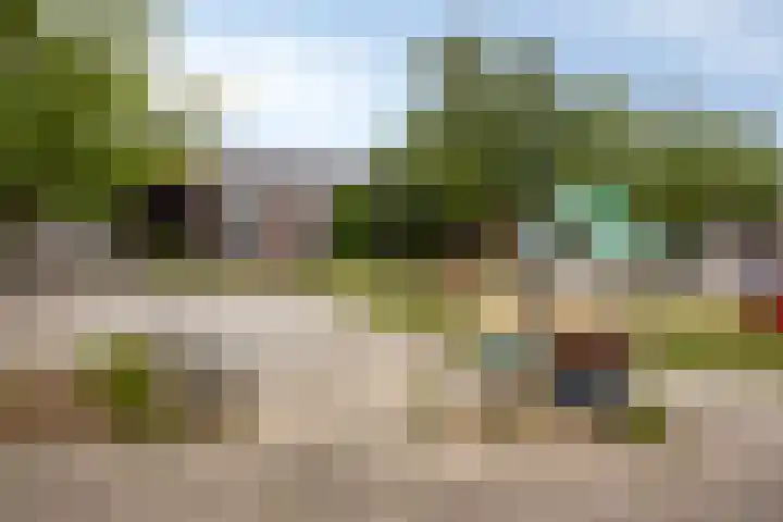 Swalmenhof 9 Arnhem thumbnail 40
