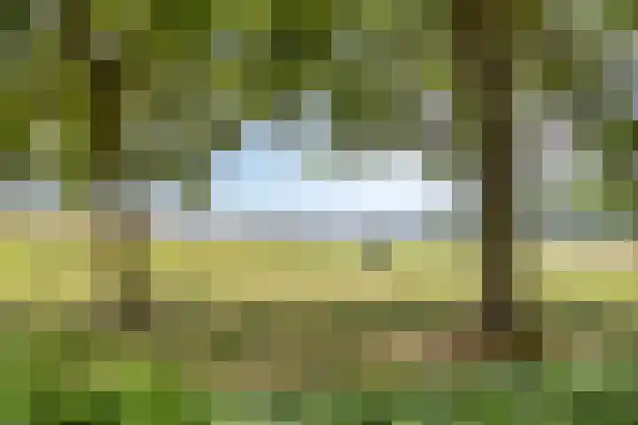 Swalmenhof 9 Arnhem thumbnail 43