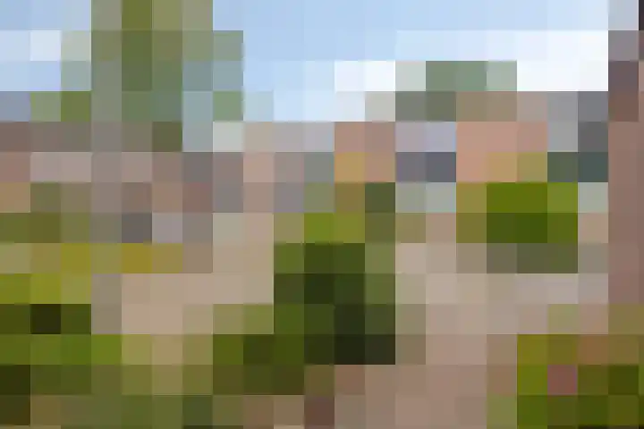 Swalmenhof 9 Arnhem thumbnail 6