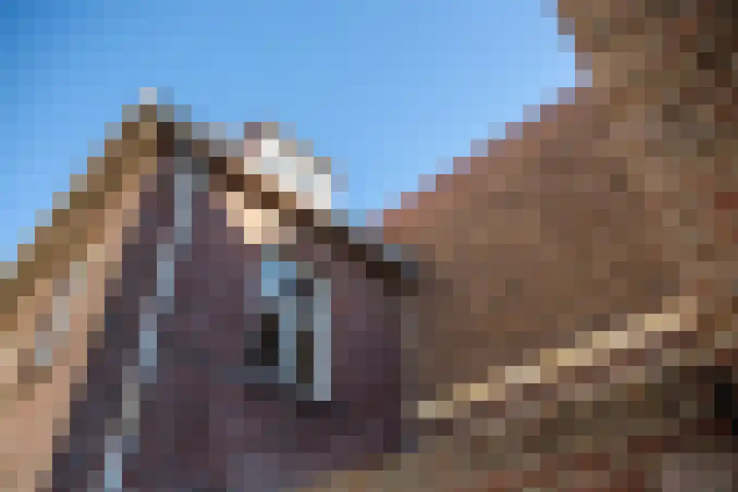 Swalmerstraat 18 Roermond thumbnail 40