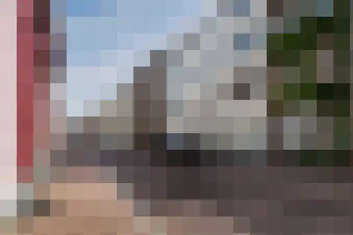 Swalmerstraat 24 Roermond thumbnail 20