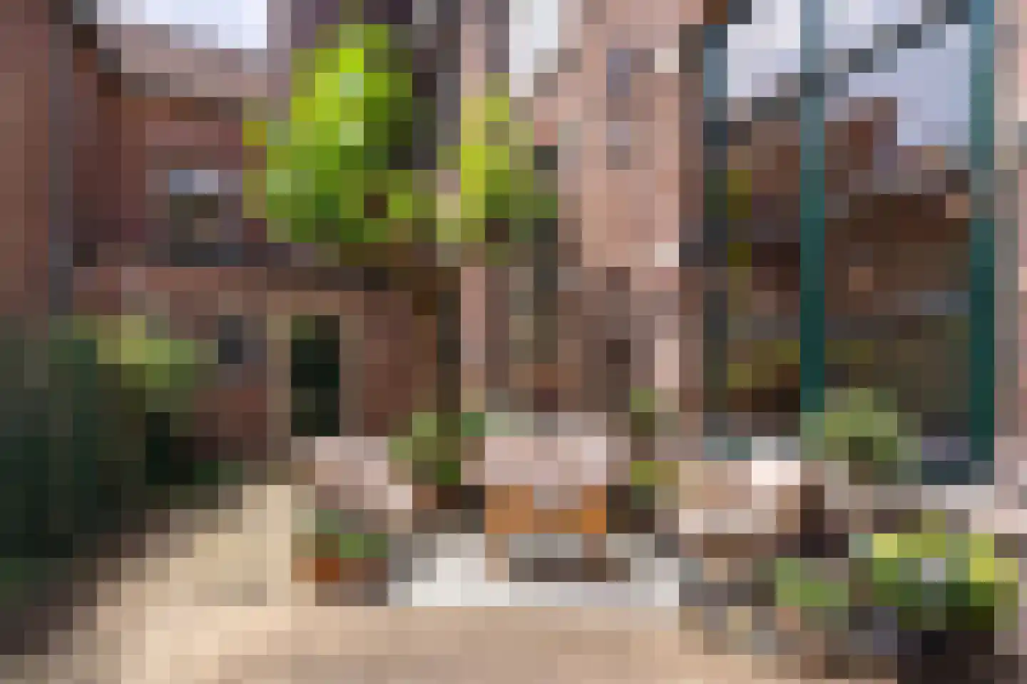 Swalmerstraat 50 Roermond thumbnail 26