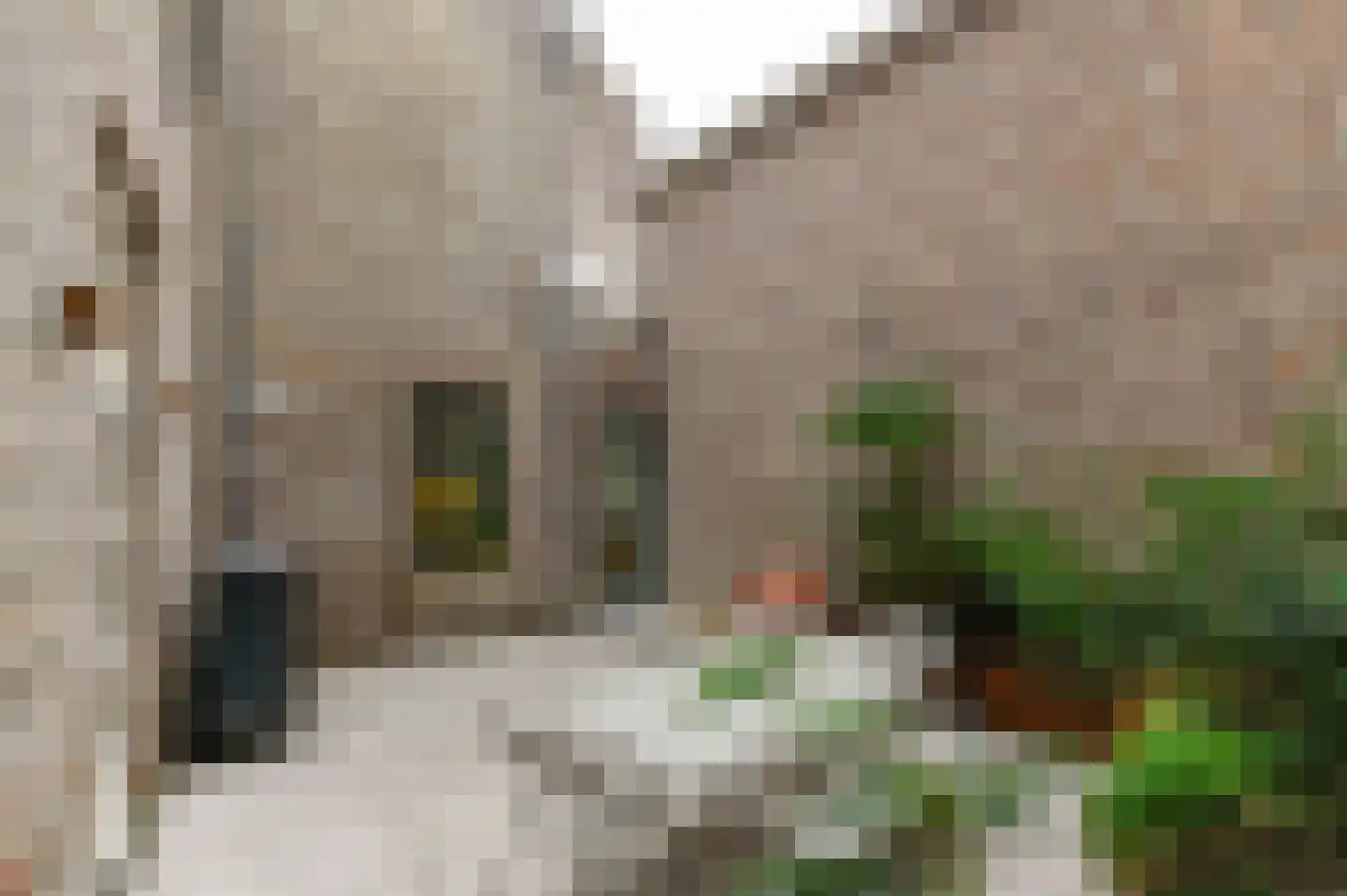 Swalmerstraat 57 Roermond thumbnail 16
