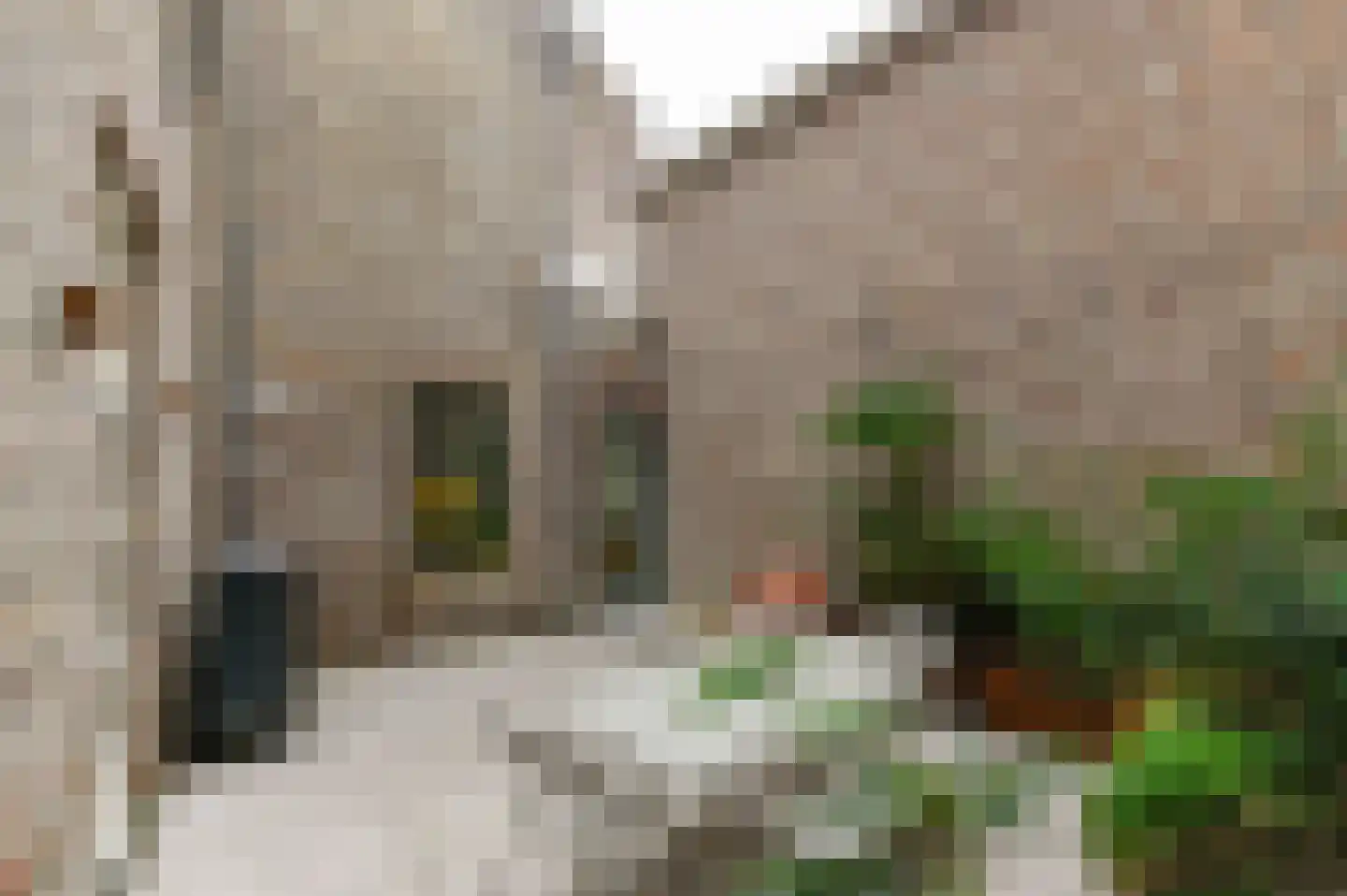 Swalmerstraat 57 Roermond thumbnail 17