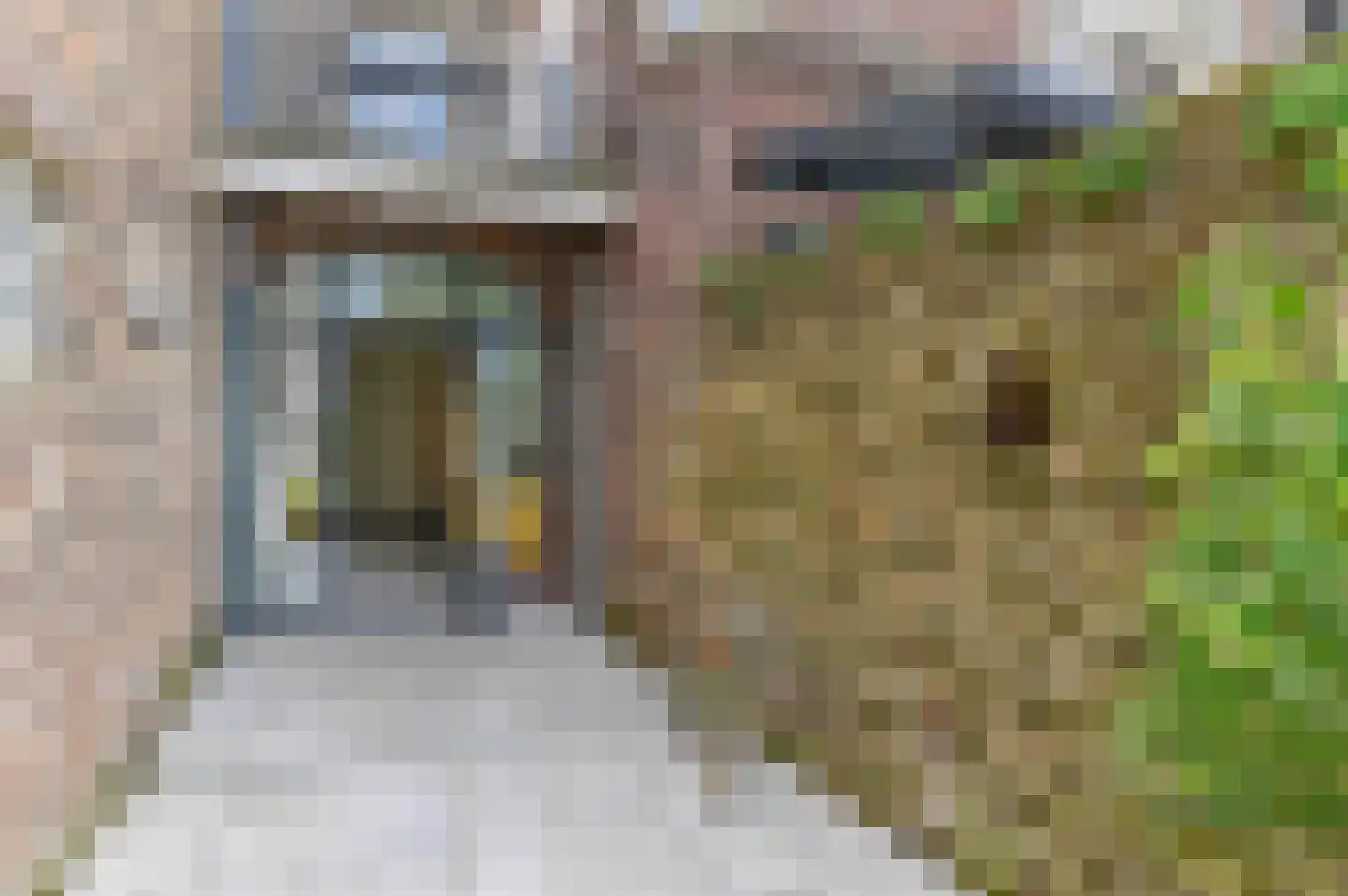 Swalmerstraat 57 Roermond thumbnail 29