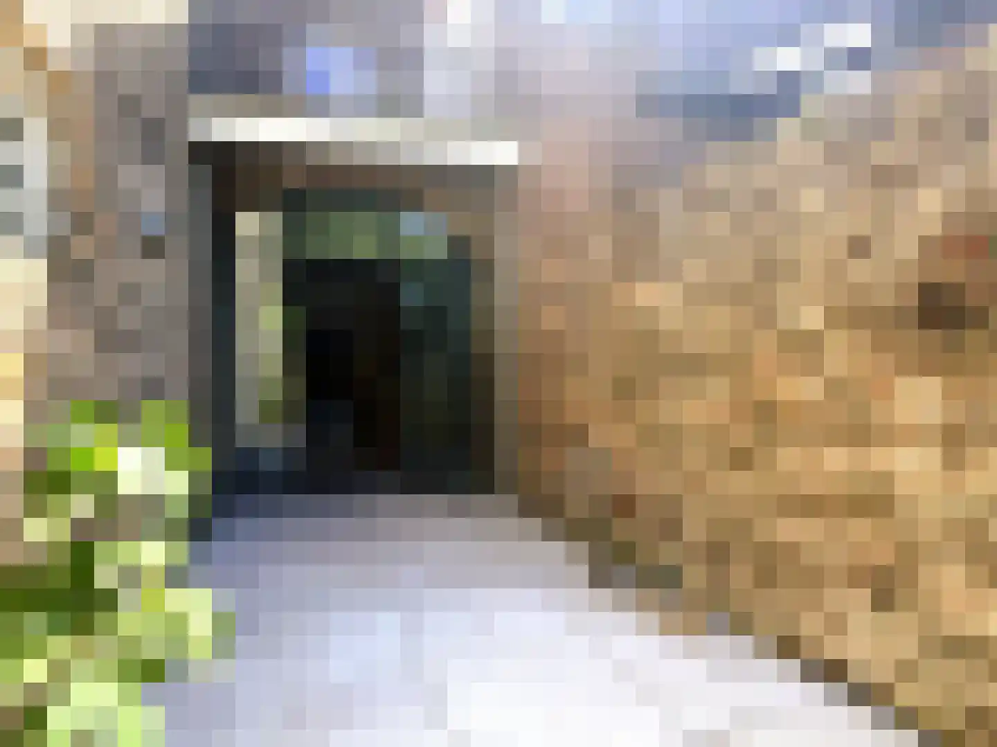 Swalmerstraat 57 Roermond thumbnail 33