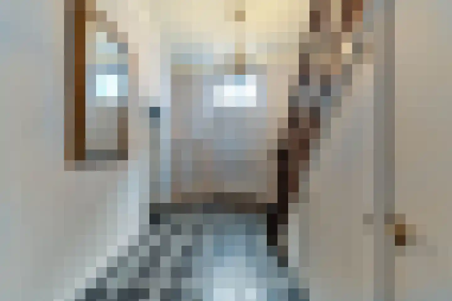 Swalmerstraat 57 Roermond thumbnail 35