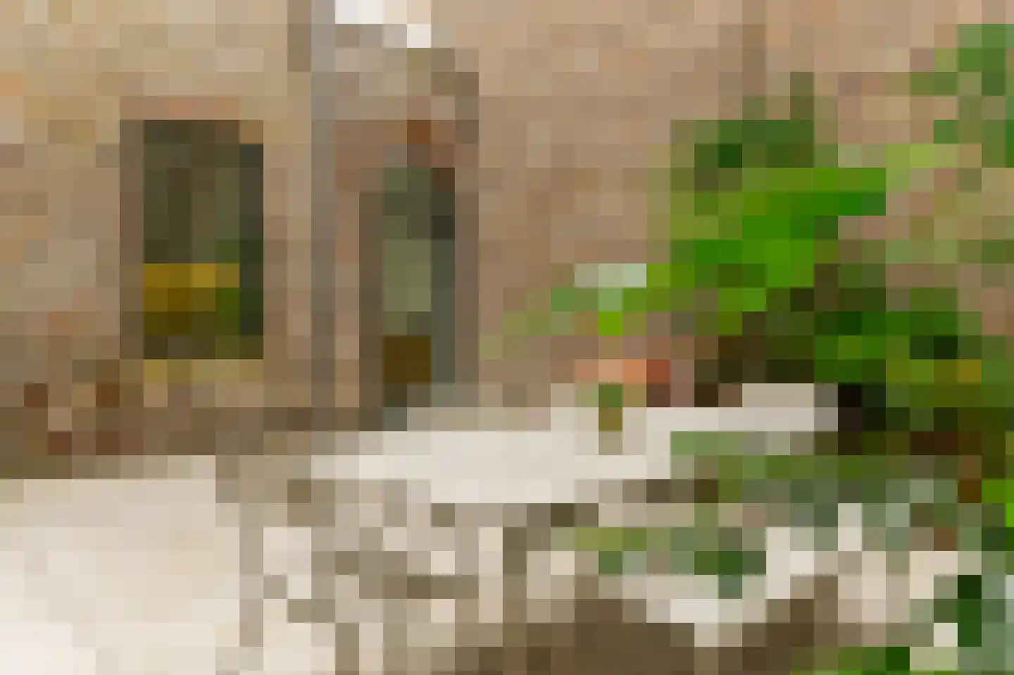Swalmerstraat 57 Roermond thumbnail 4