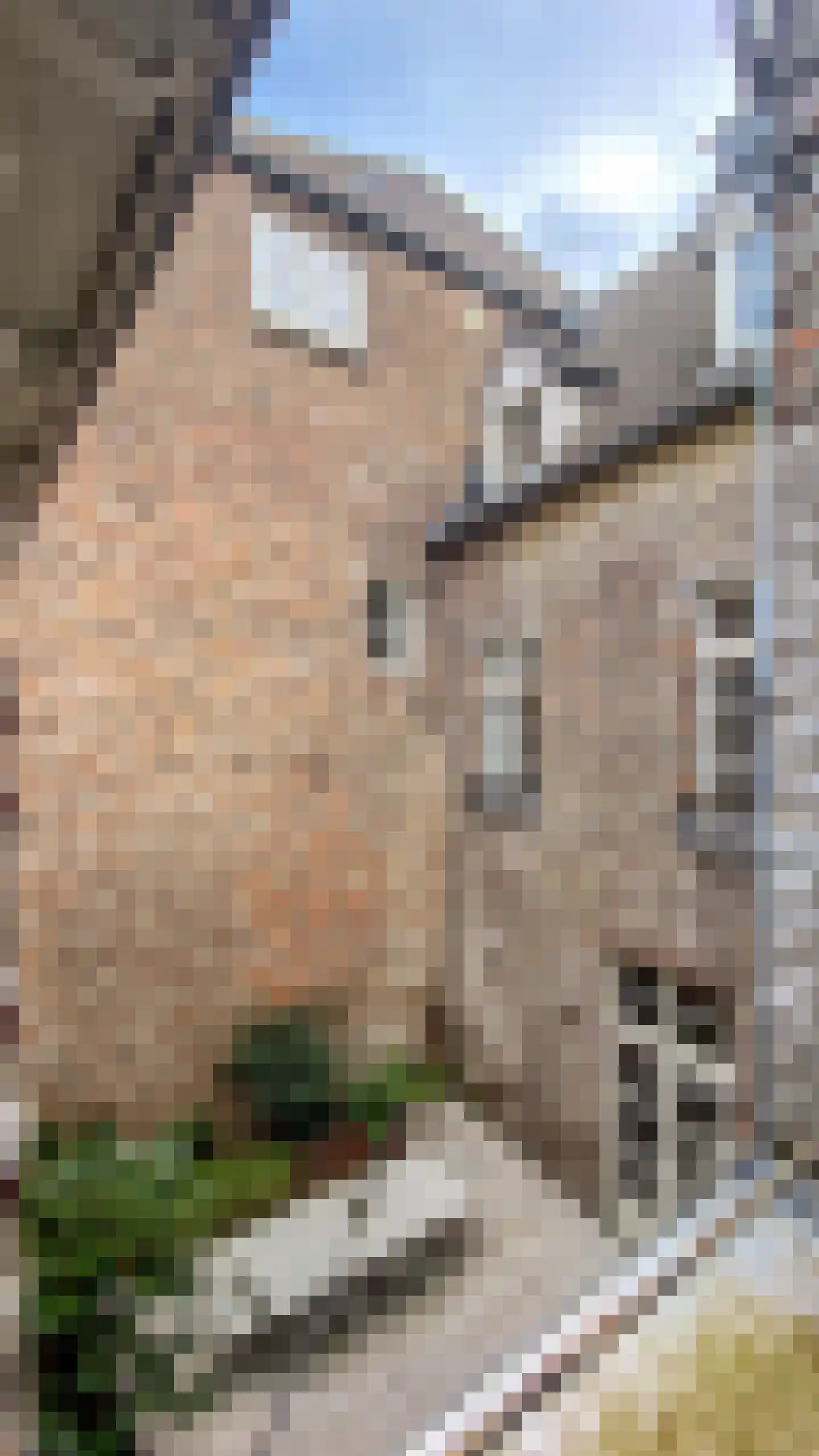 Swalmerstraat 57 Roermond thumbnail 62