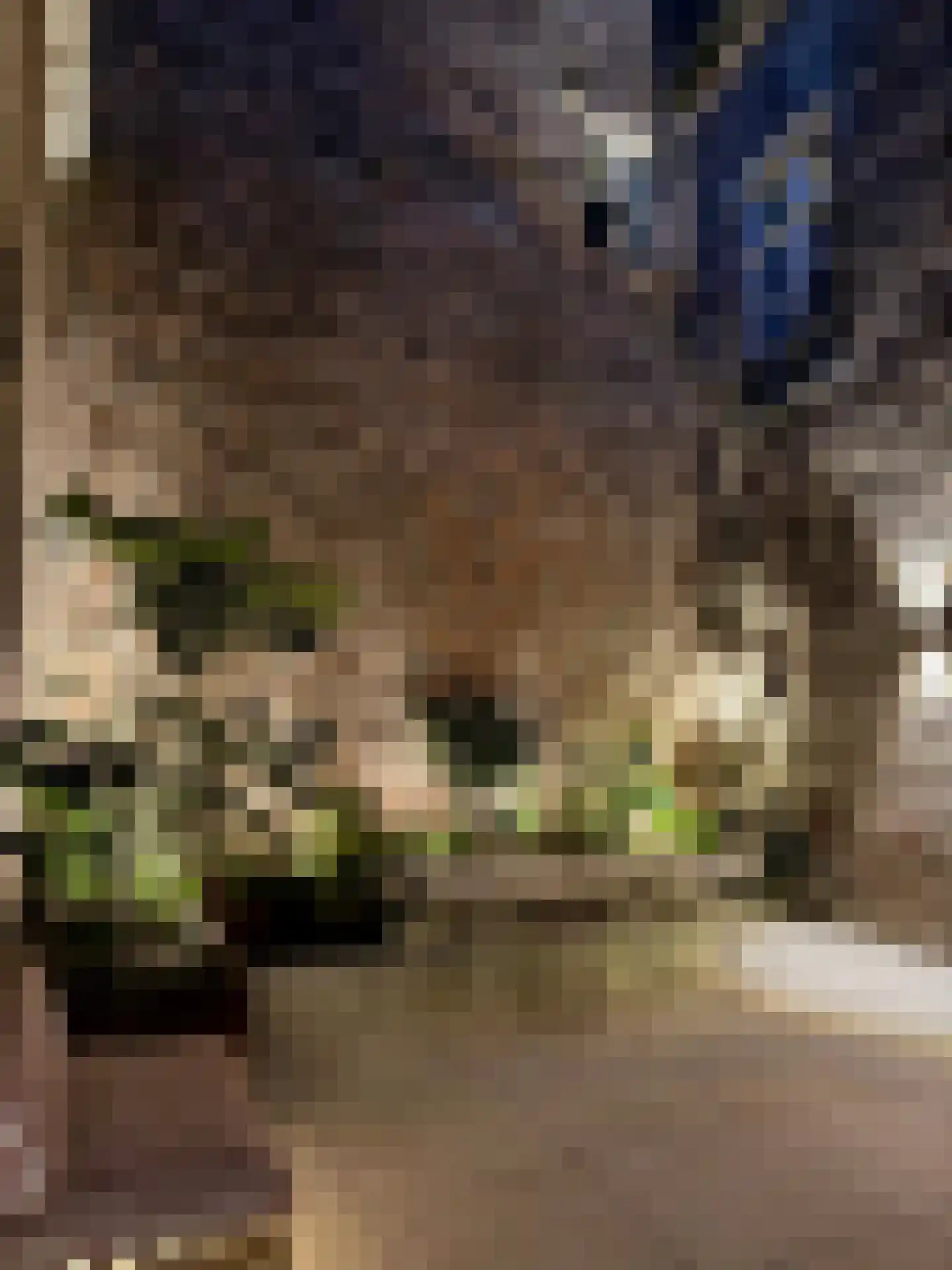 Swalmerstraat 57 Roermond thumbnail 63