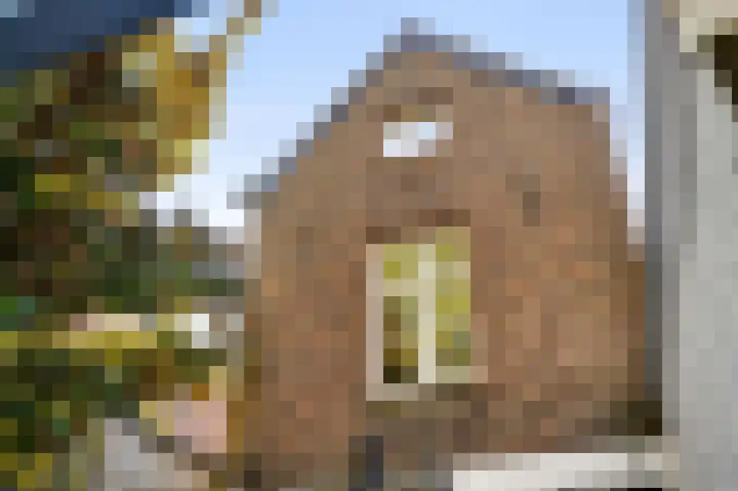 Swalmerstraat 63 Roermond thumbnail 19