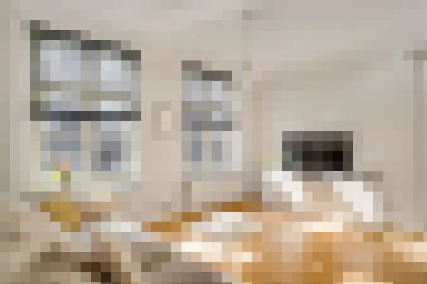 Swalmerstraat 63 Roermond thumbnail 23
