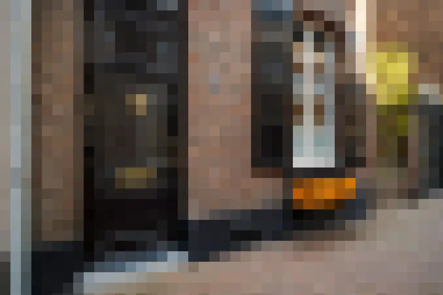Swalmerstraat 63 Roermond thumbnail 33