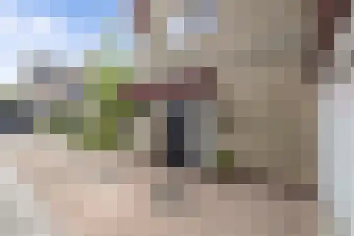 Swalmstraat 5 Emmeloord thumbnail 12