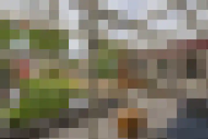 Swalmstraat 5 Emmeloord thumbnail 26