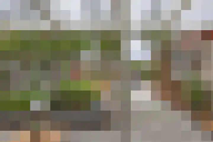 Swalmstraat 5 Emmeloord thumbnail 27