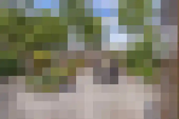 Swalmstraat 5 Emmeloord thumbnail 30