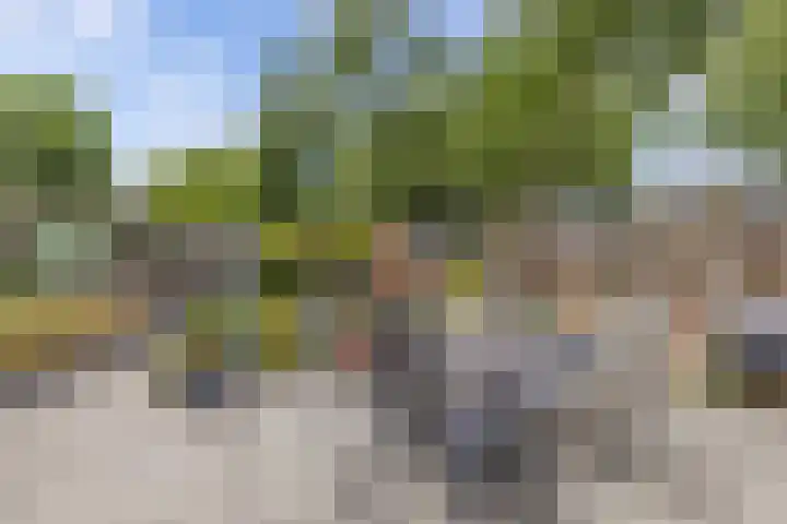 Swalmstraat 5 Emmeloord thumbnail 31