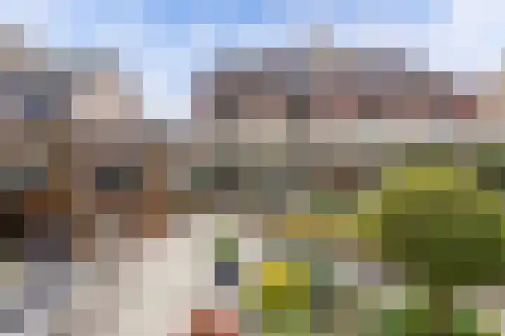 Swalmstraat 5 Emmeloord thumbnail 33