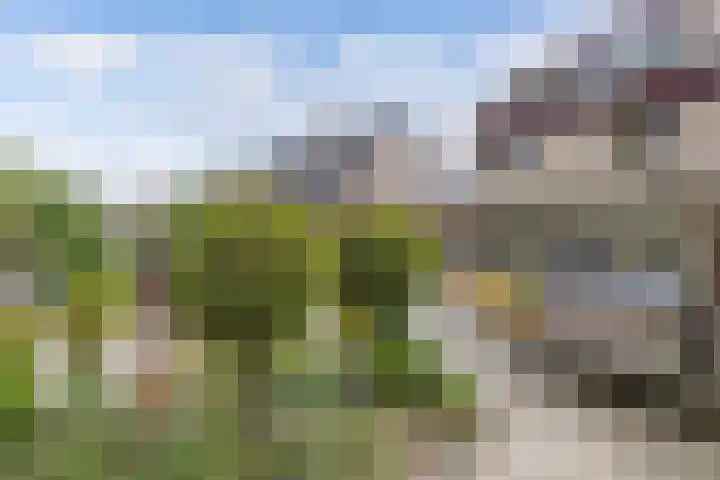 Swalmstraat 5 Emmeloord thumbnail 34