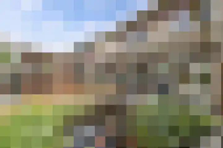 Swalmstraat 5 Emmeloord thumbnail 36
