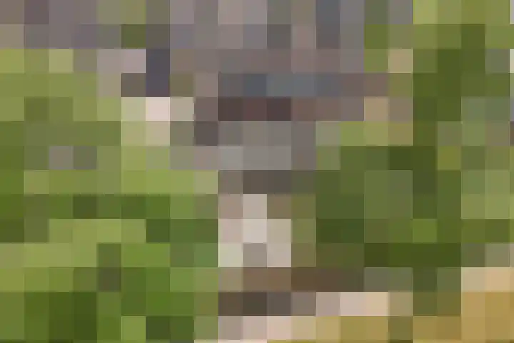 Swalmstraat 5 Emmeloord thumbnail 39