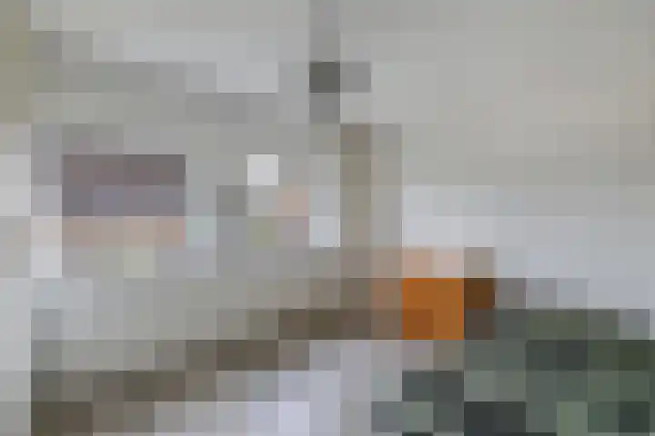 Swalmstraat 9 Emmeloord thumbnail 27