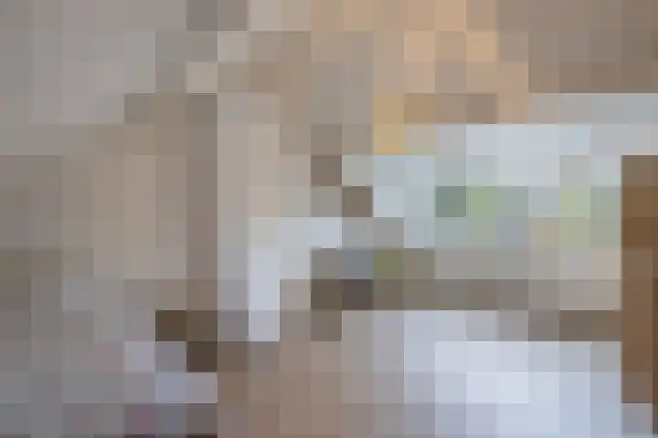 Swalmstraat 9 Emmeloord thumbnail 32