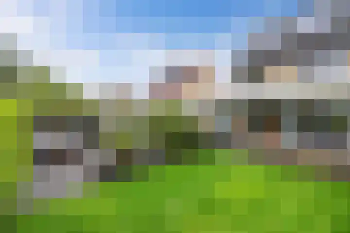 Swalmstraat 9 Emmeloord thumbnail 37