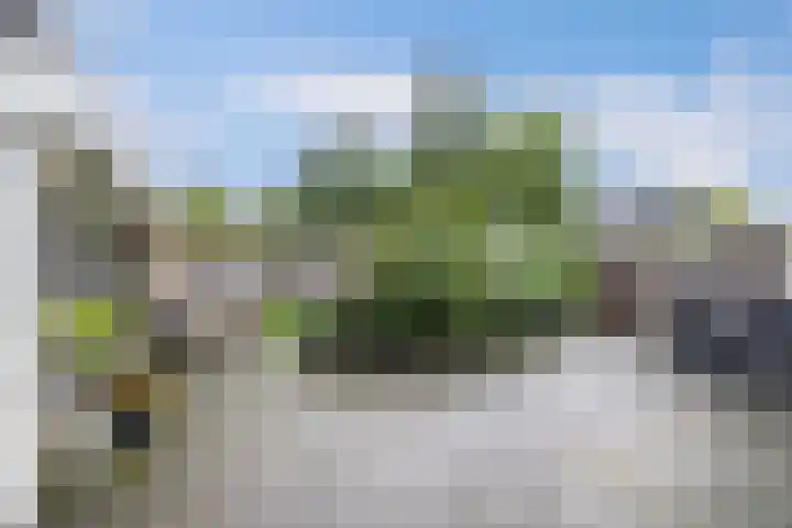 Swalmstraat 9 Emmeloord thumbnail 39